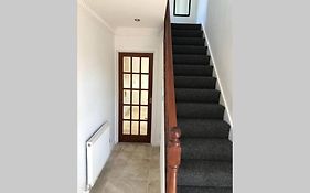 Bangor Home From Home 2Bed House
